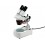 Стереоскопичен микроскоп, Увел: x20-x40