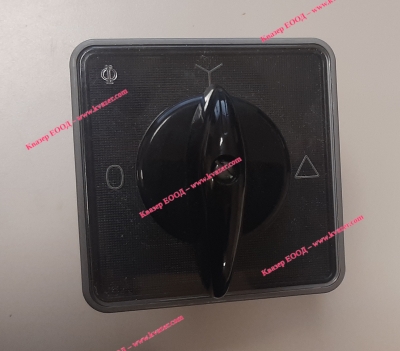 Ключ C65 A419 Kraus & Naimer 63A 380V 0 - Y - Delta