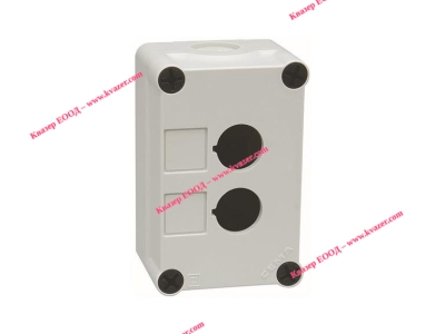 Кутия тип бутониера за 2 бутона GE P9EPE02 / 189002000