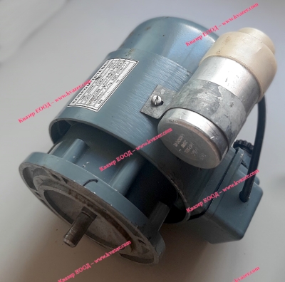 електродвигател ЕЛПРОМ ТЕТЕВЕН тип ЕОРК 0,31/4 90W 220V 0.86A  50Hz 