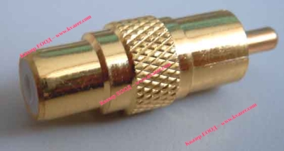 PREHODNIK-Zh-CHINCH-M-CHI
