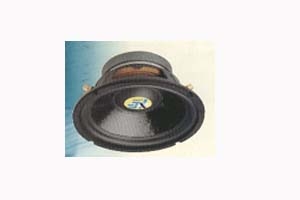 visokogovoritel-nw100-10-