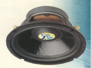 ВИСОКОГОВОРИТЕЛ NW80 8 160W, 4 ohm