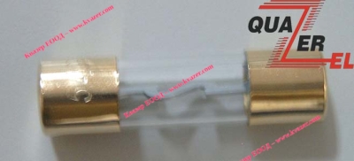 PREDPAZITEL-AGU-40A--5AG-