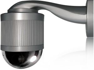 avi321-vanshna-tsvetna-ip
