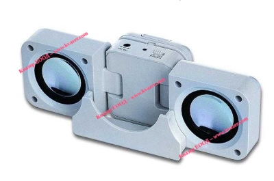 Portable Stereo System