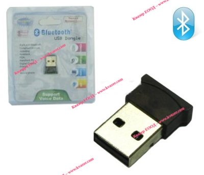 Bluetooth EDR2.0 Micro