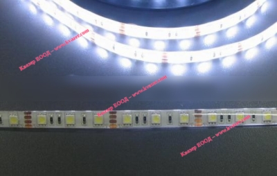 LP-WFS5050-60CW студено бяла светодиодна лента, 60 LED/m (14.4W/m) водоустойчива