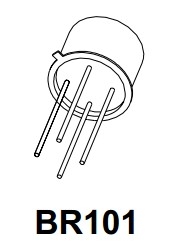 BR101