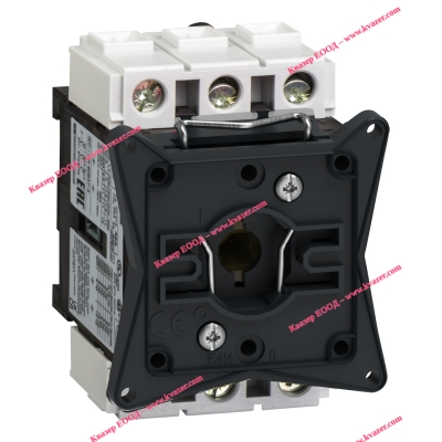 V01 Switch disconnector Schneider Electric