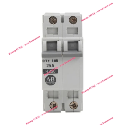 ALLEN BRADLEY 1492-CB2H250 прекъсвач 2P 25A 480V