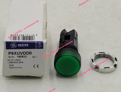 185822 GE / P9XUVDD0 GENERAL ELECTRIC