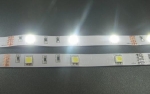 Студено бяла светодиодна лента, smd5050-30LED/m (7.2W/m) IP00