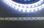 LP-WFS5050-60CW студено бяла светодиодна лента, 60 LED/m (14.4W/m) водоустойчива