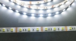 FS5050-60CW студено бяла светодиодна лента, 60 LED/m (14.4W/m) IP20