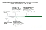 K тип NiCr-Ni 2x0.03 mm2 PTFE КАБЕЛ за миниатюрни термодвойки