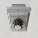 RCS-OOK ON Delay Timer AC220V