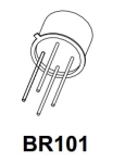 BR101